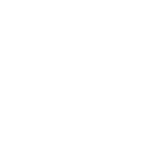 Play icon